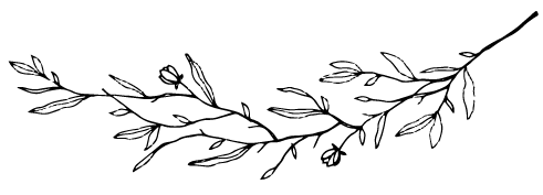 NyL-ramita-negra
